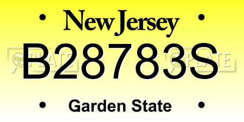B28783S New Jersey License Plate
