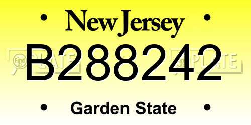 B288242 New Jersey License Plate