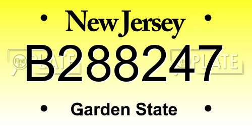 B288247 New Jersey License Plate