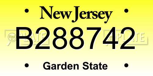 B288742 New Jersey License Plate
