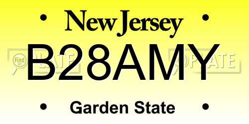 B28AMY New Jersey License Plate