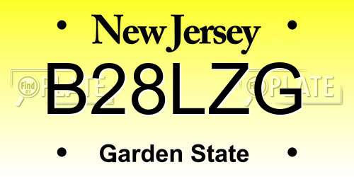 B28LZG New Jersey License Plate
