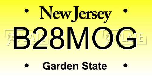 B28MOG New Jersey License Plate