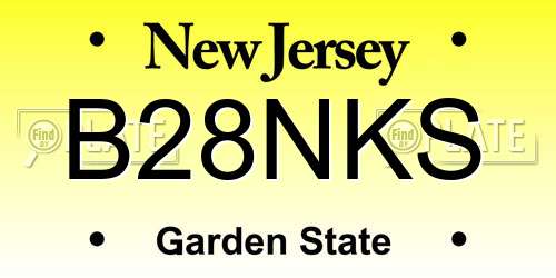 B28NKS New Jersey License Plate