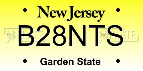 B28NTS New Jersey License Plate