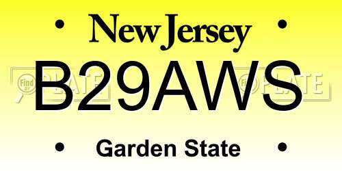 B29AWS New Jersey License Plate