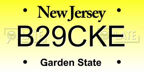B29CKE New Jersey License Plate