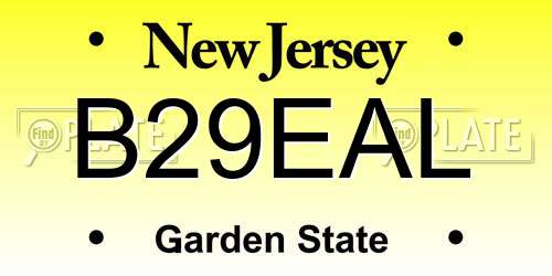 B29EAL New Jersey License Plate