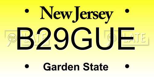 B29GUE New Jersey License Plate