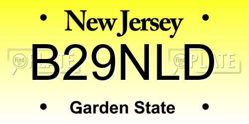 B29NLD New Jersey License Plate