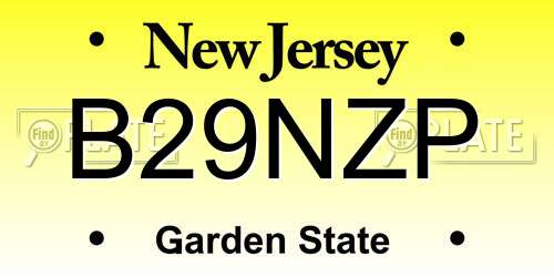 B29NZP New Jersey License Plate