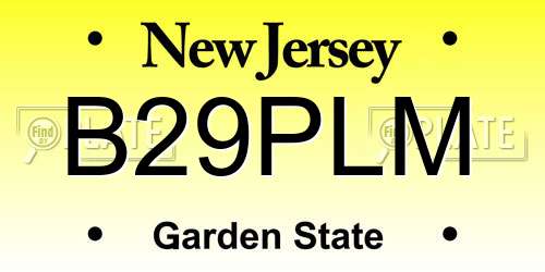 B29PLM New Jersey License Plate