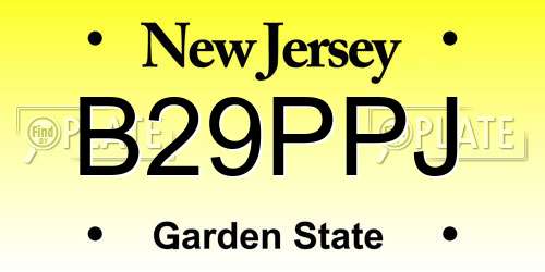 B29PPJ New Jersey License Plate