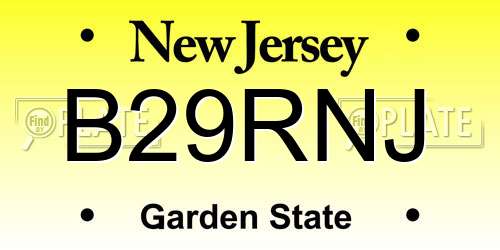 B29RNJ New Jersey License Plate