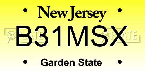 B31MSX New Jersey License Plate