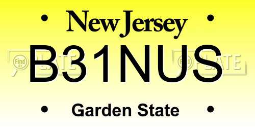 B31NUS New Jersey License Plate