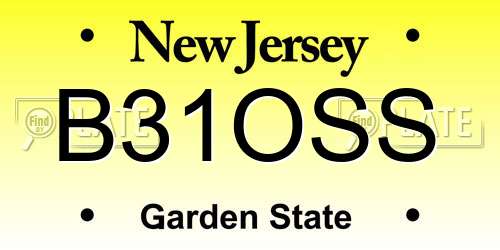 B31OSS New Jersey License Plate