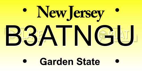 B3ATNGU New Jersey License Plate