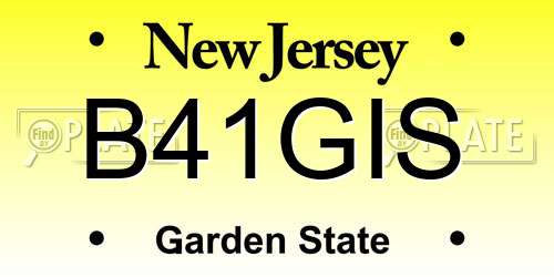 B41GIS New Jersey License Plate