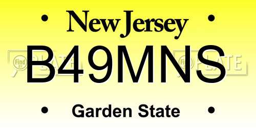 B49MNS New Jersey License Plate