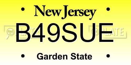 B49SUE New Jersey License Plate