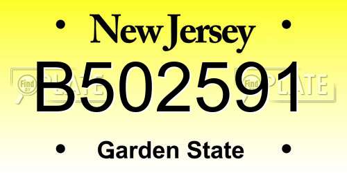 B502591 New Jersey License Plate