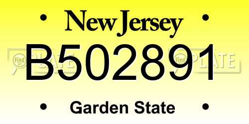B502891 New Jersey License Plate