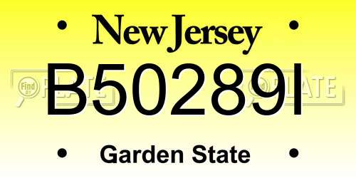 B50289I New Jersey License Plate