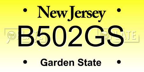 B502GS New Jersey License Plate