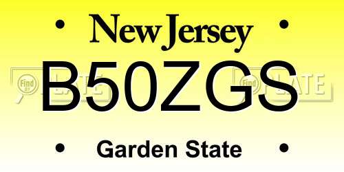 B50ZGS New Jersey License Plate