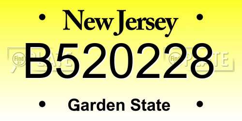 B520228 New Jersey License Plate