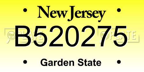 B520275 New Jersey License Plate
