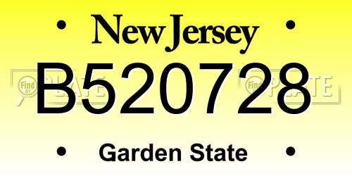 B520728 New Jersey License Plate