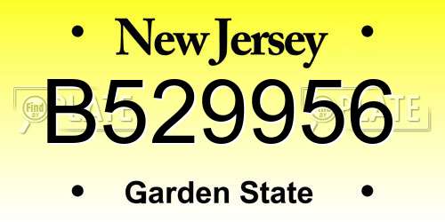 B529956 New Jersey License Plate