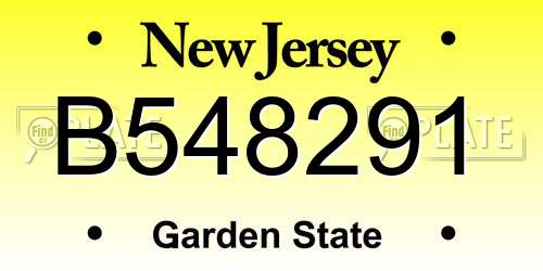 B548291 New Jersey License Plate