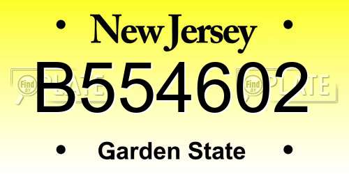 B554602 New Jersey License Plate