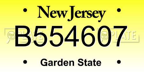 B554607 New Jersey License Plate