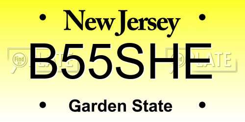 B55SHE New Jersey License Plate