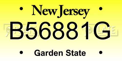 B56881G New Jersey License Plate