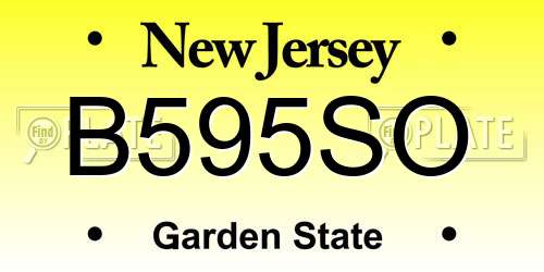 B595SO New Jersey License Plate
