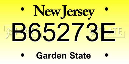 B65273E New Jersey License Plate