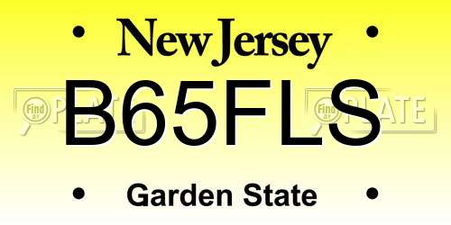 B65FLS New Jersey License Plate