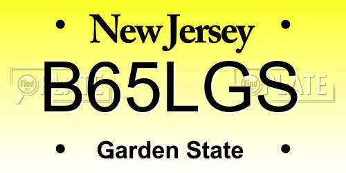 B65LGS New Jersey License Plate