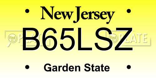 B65LSZ New Jersey License Plate
