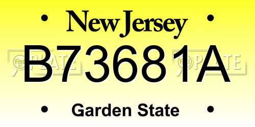 B73681A New Jersey License Plate