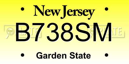B738SM New Jersey License Plate