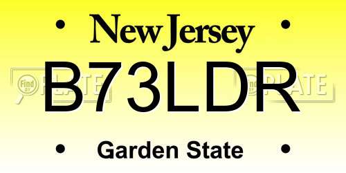 B73LDR New Jersey License Plate