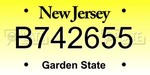 B742655 New Jersey License Plate