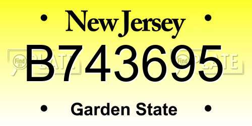 B743695 New Jersey License Plate