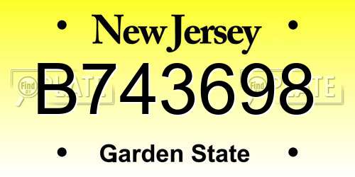 B743698 New Jersey License Plate